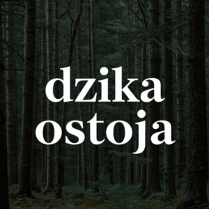 logo dzika ostoja